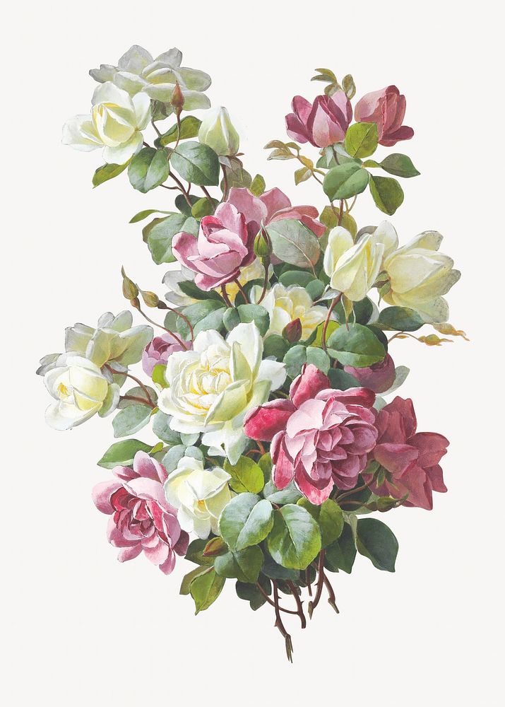 Rose flower bouquet, vintage illustration by Paul de Longpré. Remixed by rawpixel.