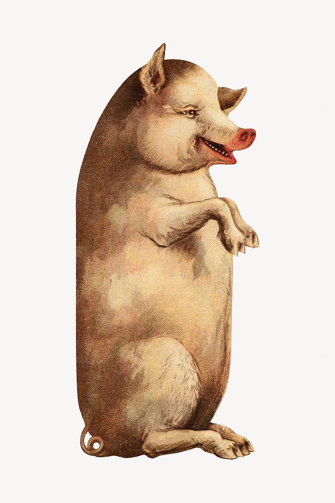 Vintage sitting pig illustration. Remixed by rawpixel. 