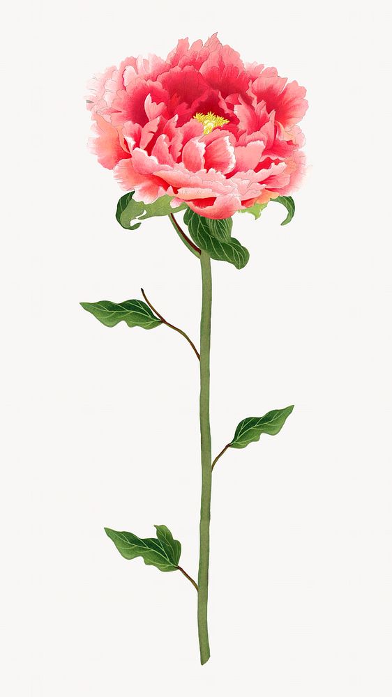 Pink flower image element