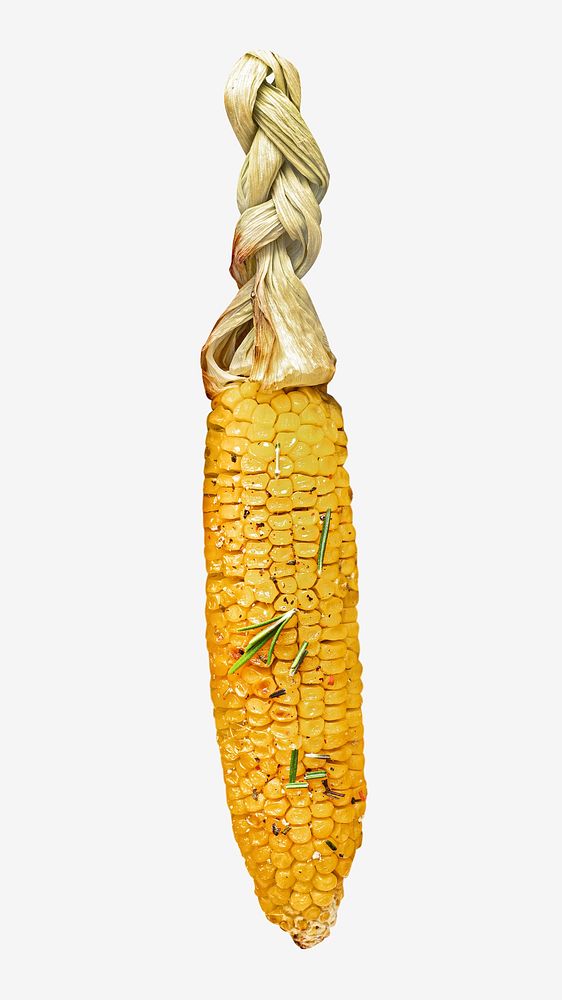 Corn on cob, isolated design