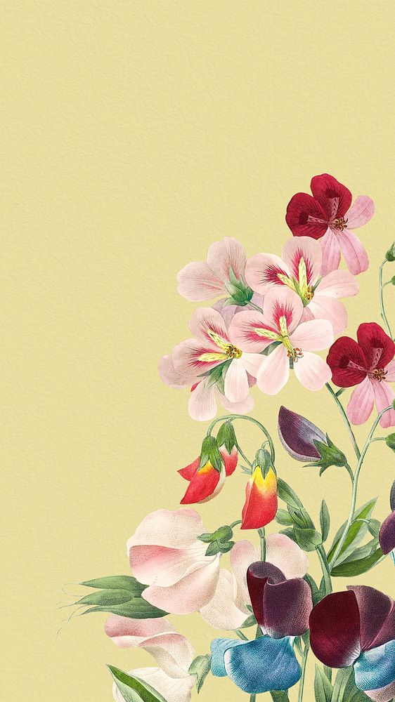Floral phone wallpaper, vintage sweet pea illustration by Pierre Joseph Redouté. Remixed by rawpixel.
