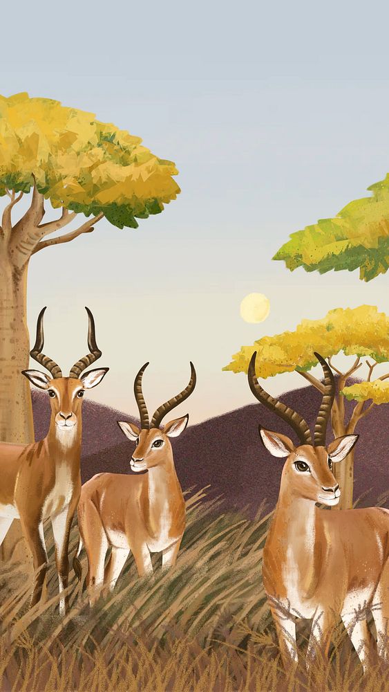African animals mobile wallpaper, drawing design