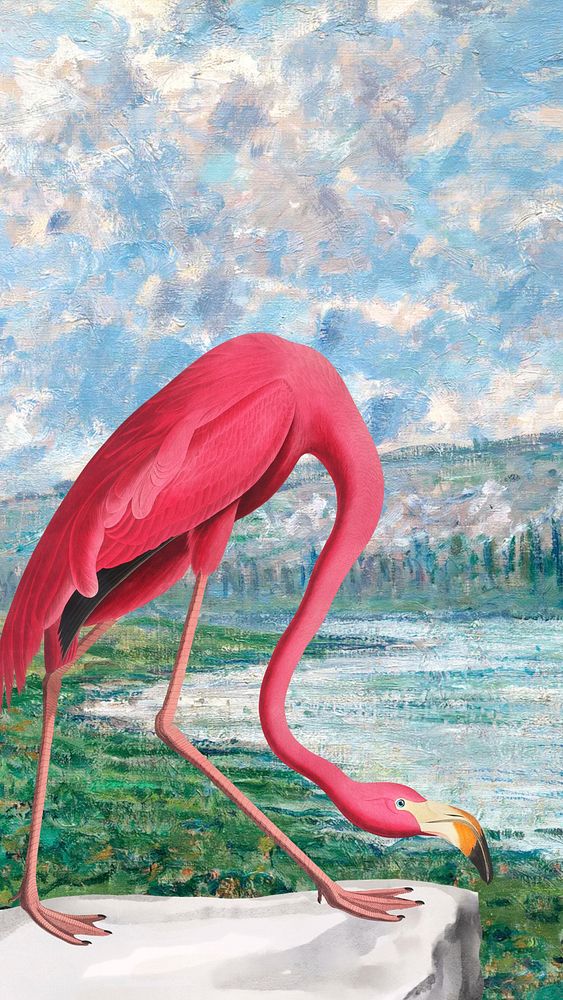Aesthetic flamingo iPhone wallpaper, drawing design