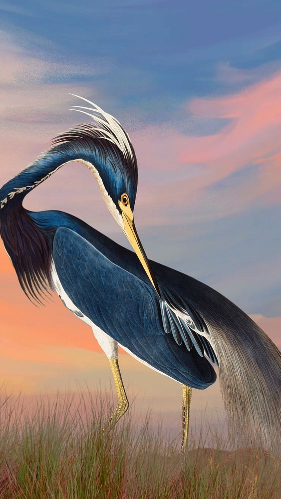 Heron bird iPhone wallpaper, gradient sky design
