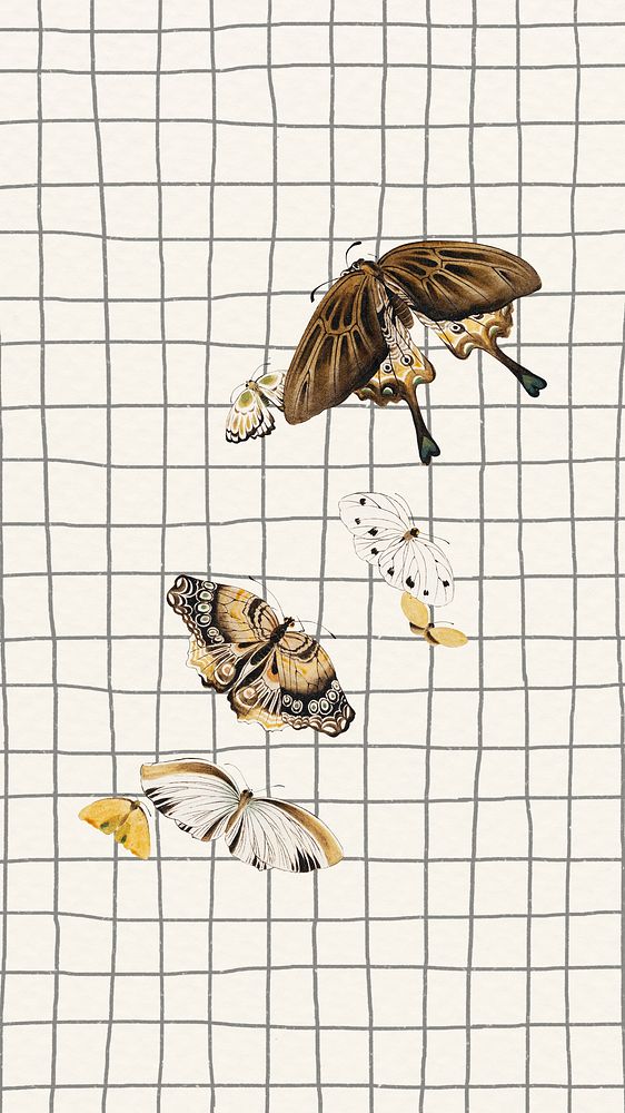 Vintage butterflies iPhone wallpaper, aesthetic grid pattern background