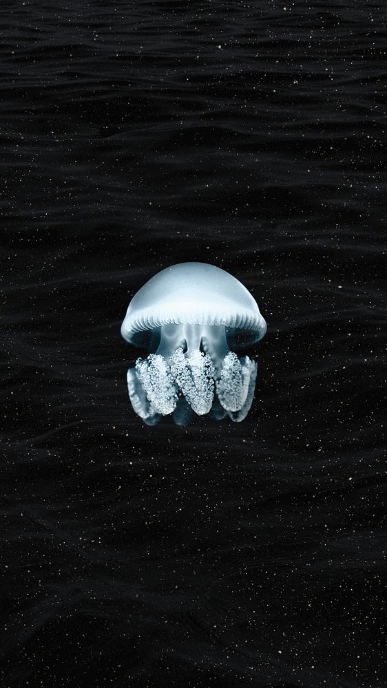 Aesthetic jellyfish iPhone wallpaper, dark animal background