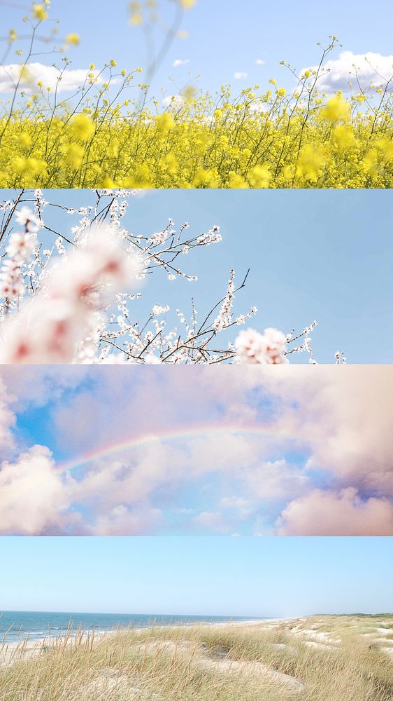 Panoramic nature landscapes  iPhone wallpaper