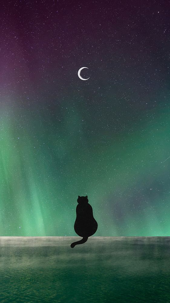Northern lights iPhone wallpaper, black cat background