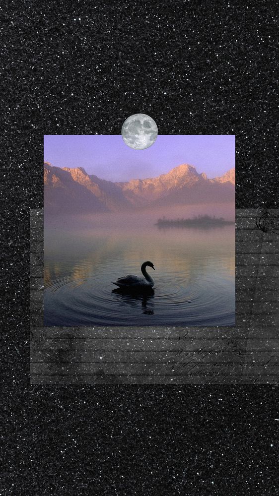 Swan galaxy iPhone wallpaper, black animal background