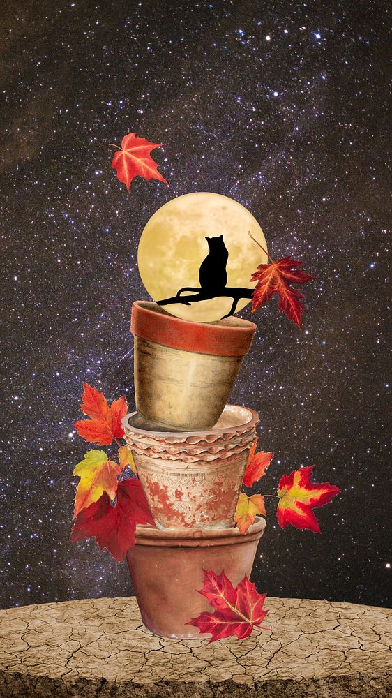 Autumn Halloween night iPhone wallpaper