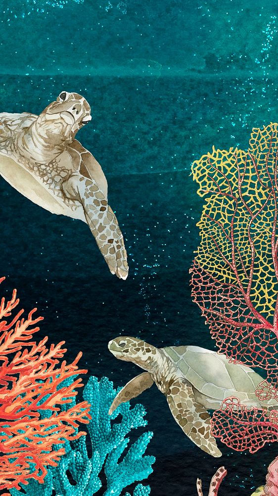 Sea turtles iPhone wallpaper, aesthetic ocean background