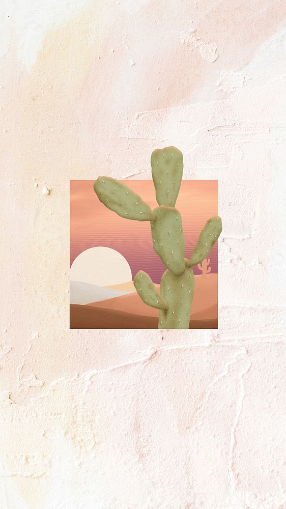 Aesthetic cactus beige iPhone wallpaper