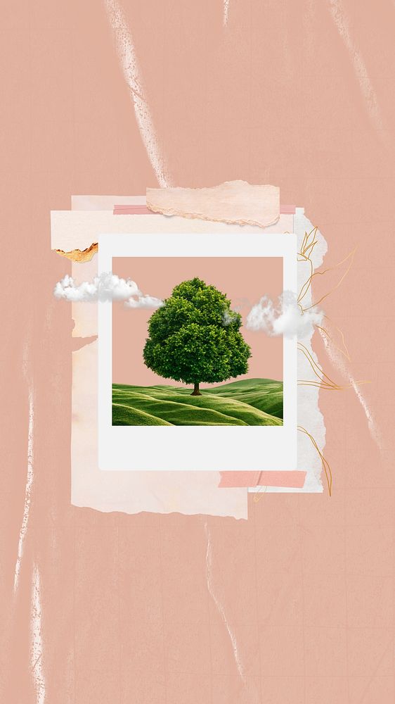 Aesthetic tree, pink iPhone wallpaper