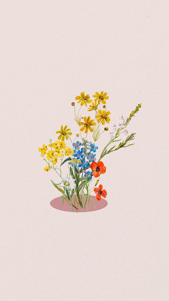 Spring flower aesthetic mobile wallpaper