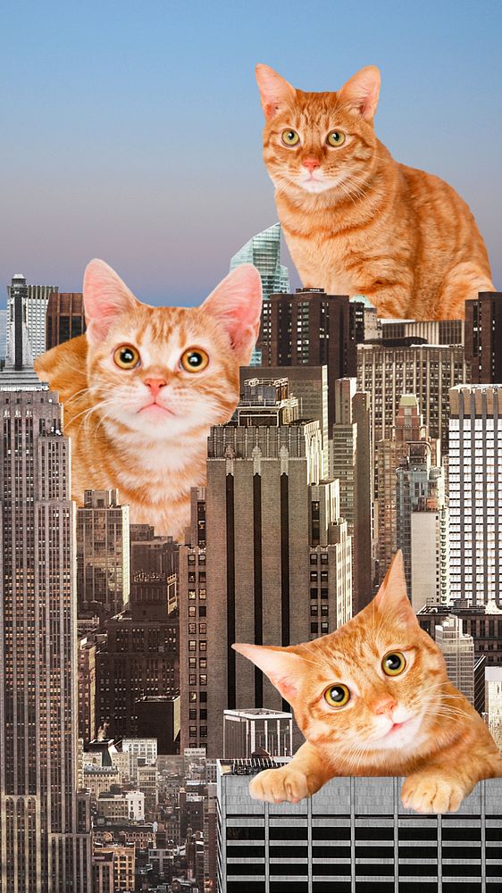 Giant cats iPhone wallpaper, surreal buildings background