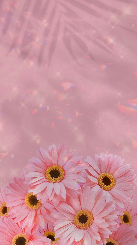Pink daisy aesthetic phone wallpaper, flower border