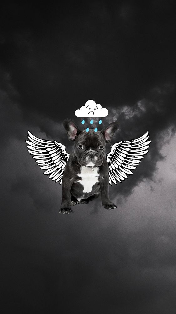 Black bulldog  iPhone wallpaper, sad puppy background