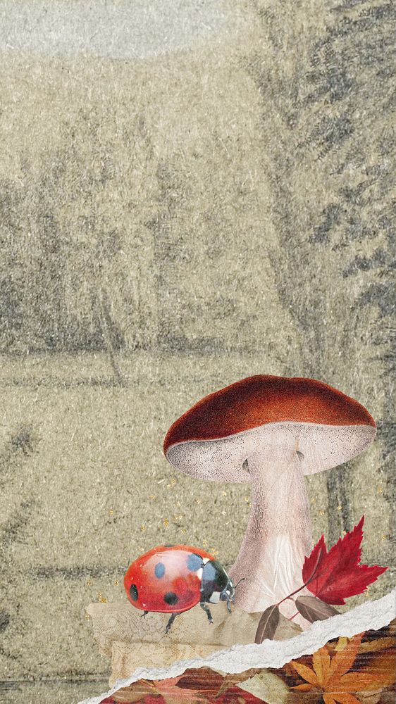 Autumn mushroom illustration iPhone wallpaper