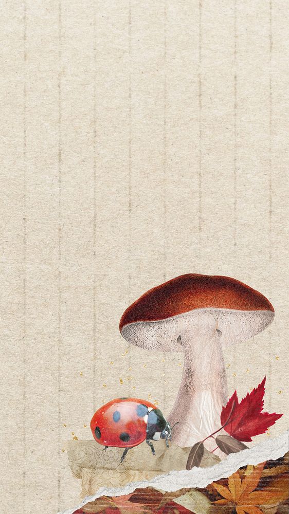 Mushroom illustration beige iPhone wallpaper