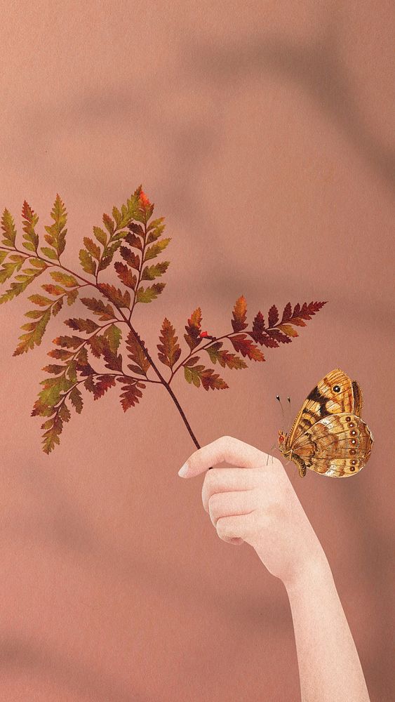 Aesthetic Autumn collage iPhone wallpaper, seasonal background