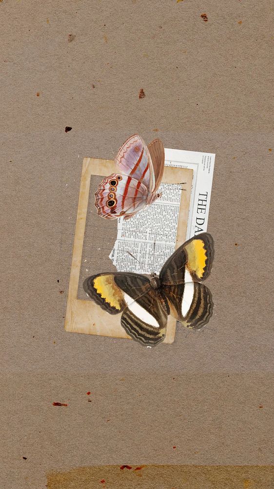 Butterfly aesthetic iPhone wallpaper, animal collage art