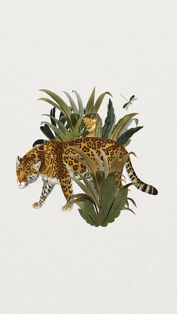 Vintage jaguar tiger phone wallpaper, botanical wildlife background
