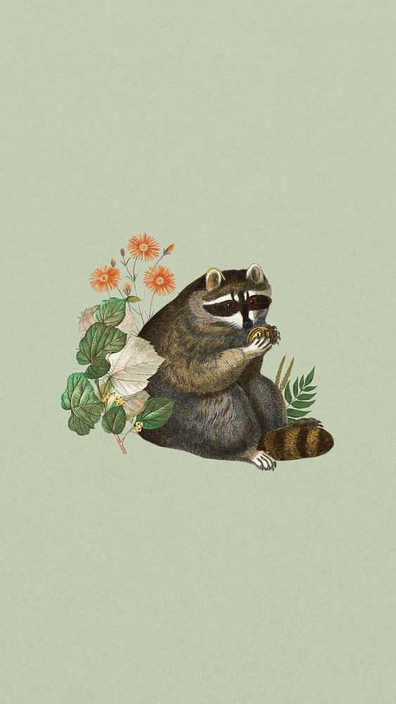 Vintage raccoon phone wallpaper, botanical wildlife background