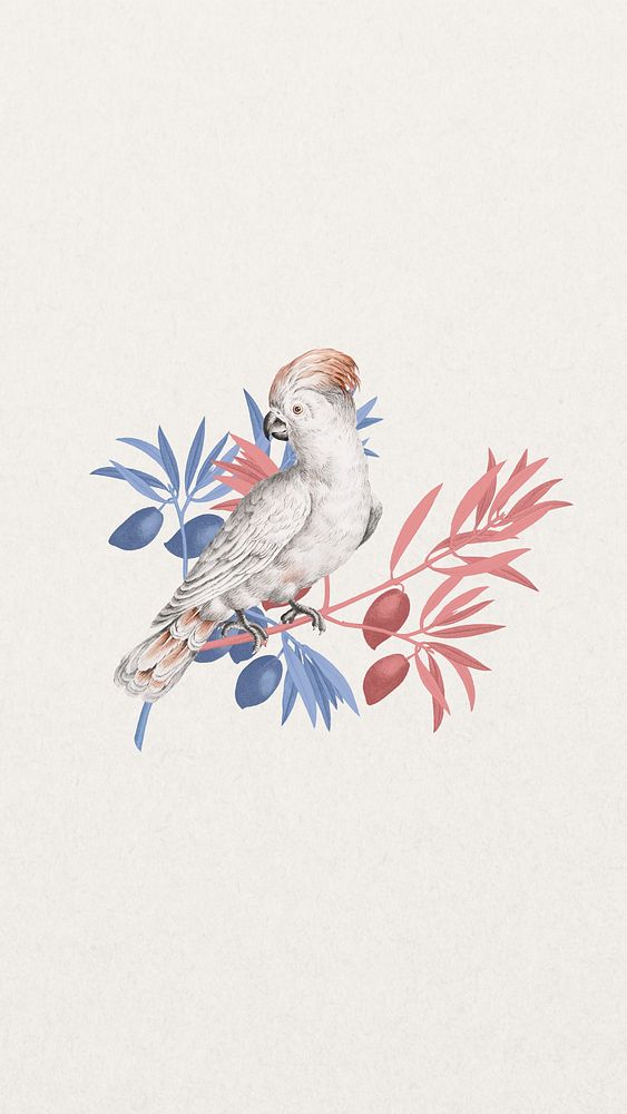 Vintage cockatoo bird iPhone wallpaper, off-white animal background