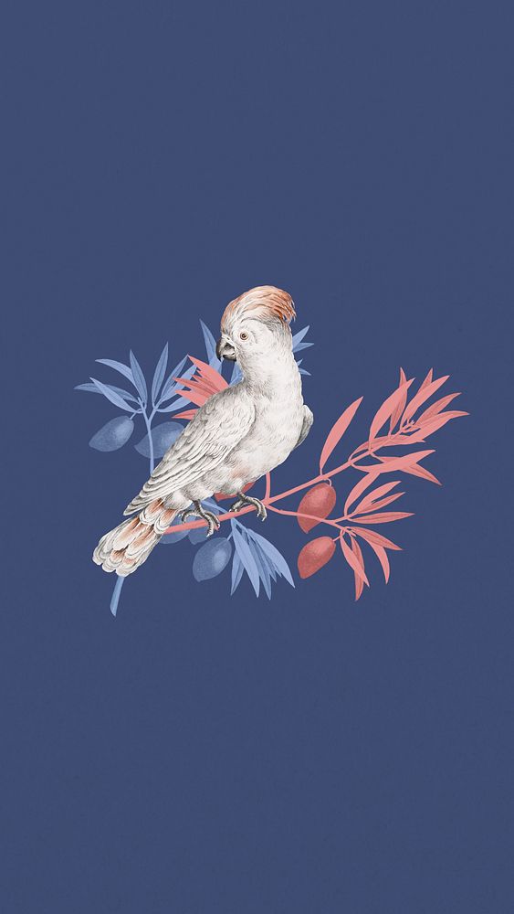Vintage cockatoo bird iPhone wallpaper, blue animal background