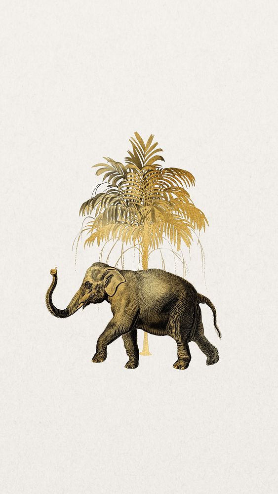 Golden elephant iPhone wallpaper, wild animal background