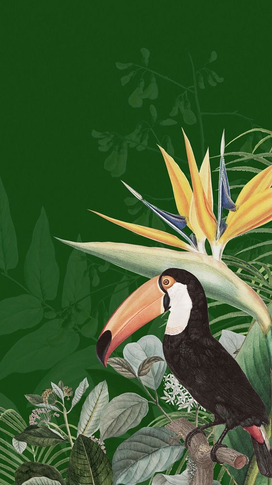 Toco toucan bird phone wallpaper, green exotic plant border