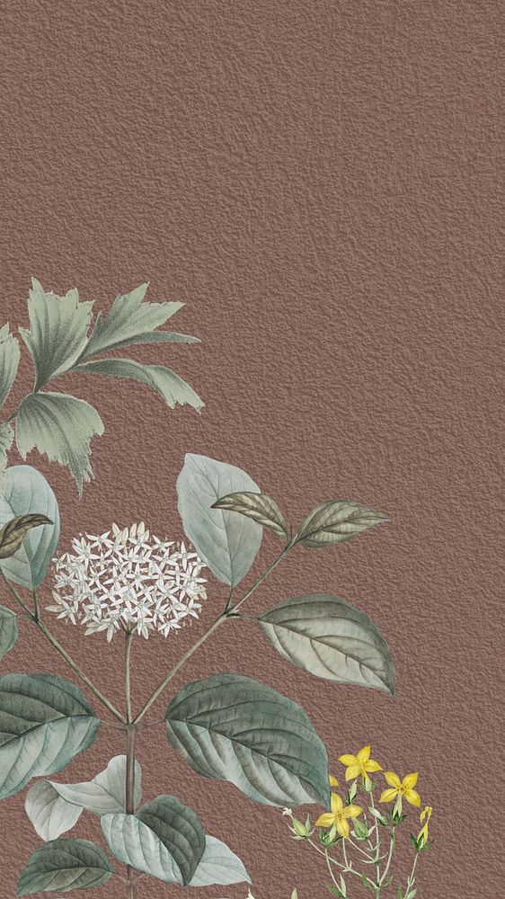 Vintage elderflower iPhone wallpaper, brown textured background