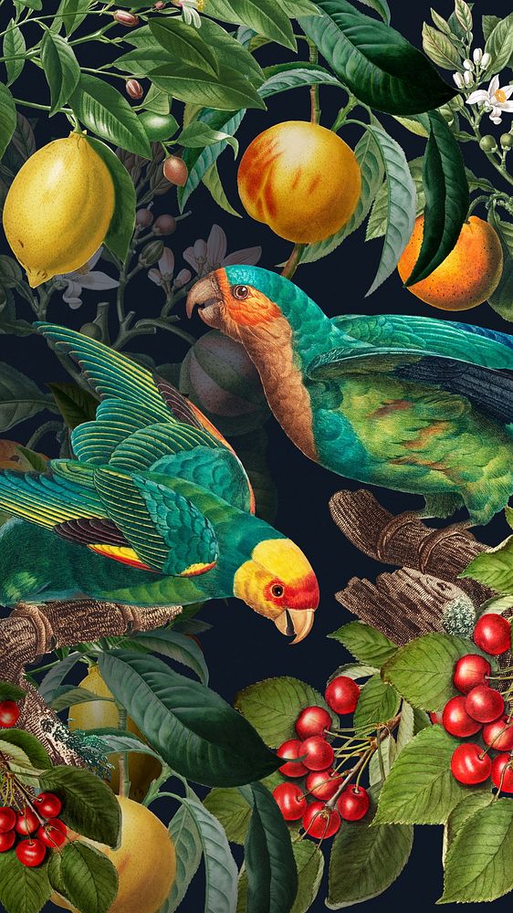 Tropical birds pattern mobile wallpaper, jungle illustration