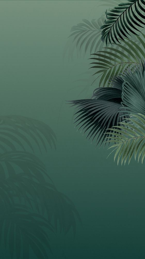 Green palm leaf mobile wallpaper, tropical border background