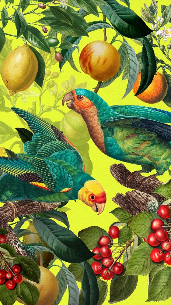 Tropical birds pattern mobile wallpaper, jungle illustration