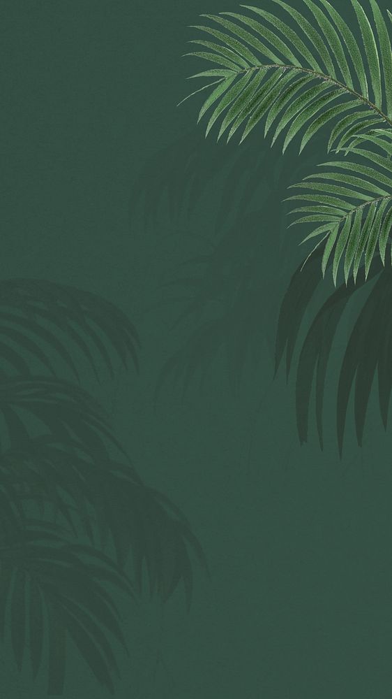 Green palm leaf mobile wallpaper, tropical border background