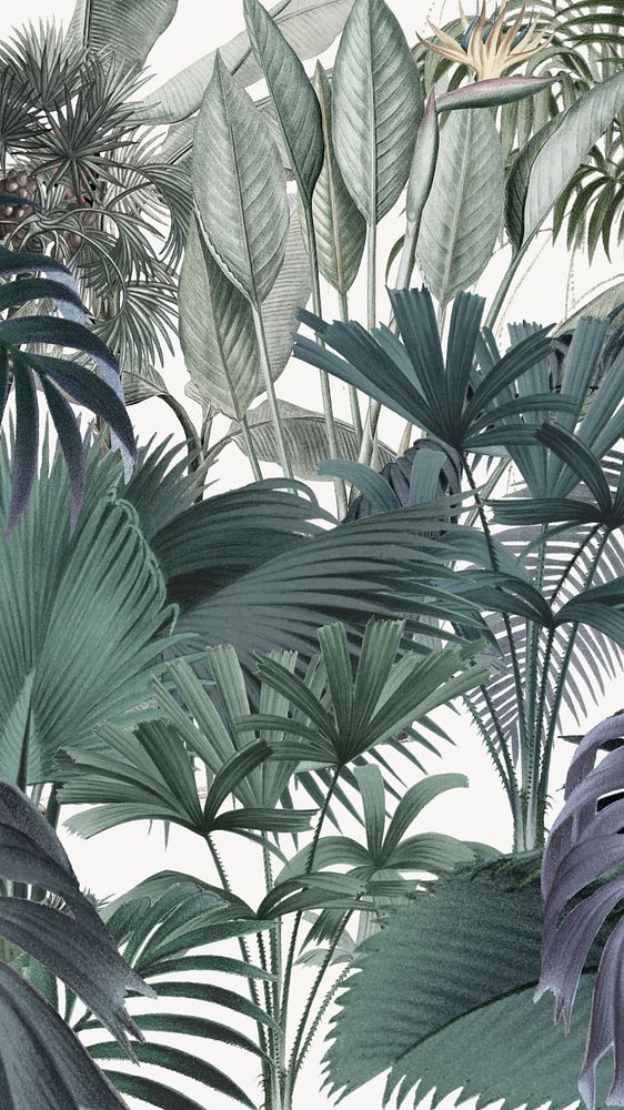 Wild jungle pattern phone wallpaper, vintage botanical illustration