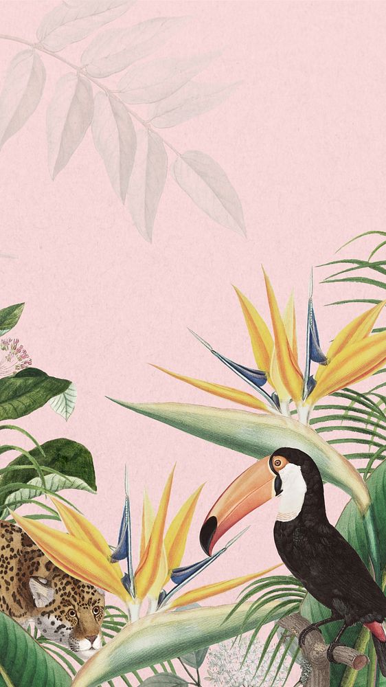 Toco toucan bird phone wallpaper, pink exotic plant border