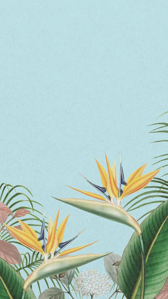 Bird of paradise iPhone wallpaper, blue exotic plant border 
