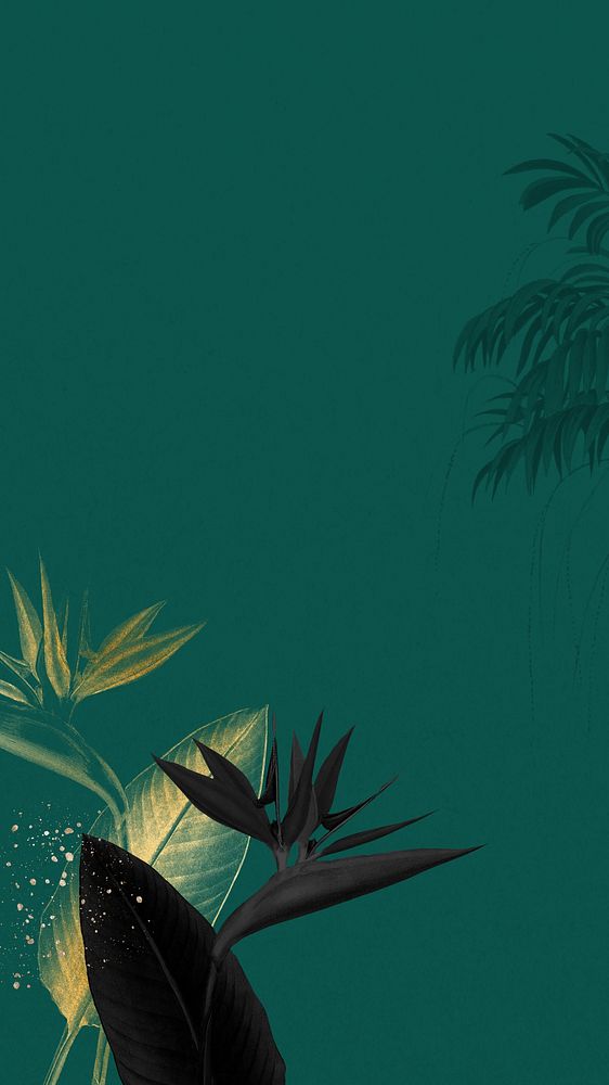 Bird of paradise iPhone wallpaper, green exotic plant border