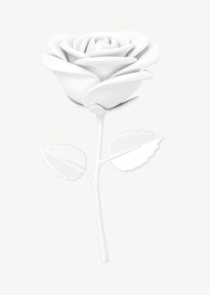 White rose flower, 3D collage element psd