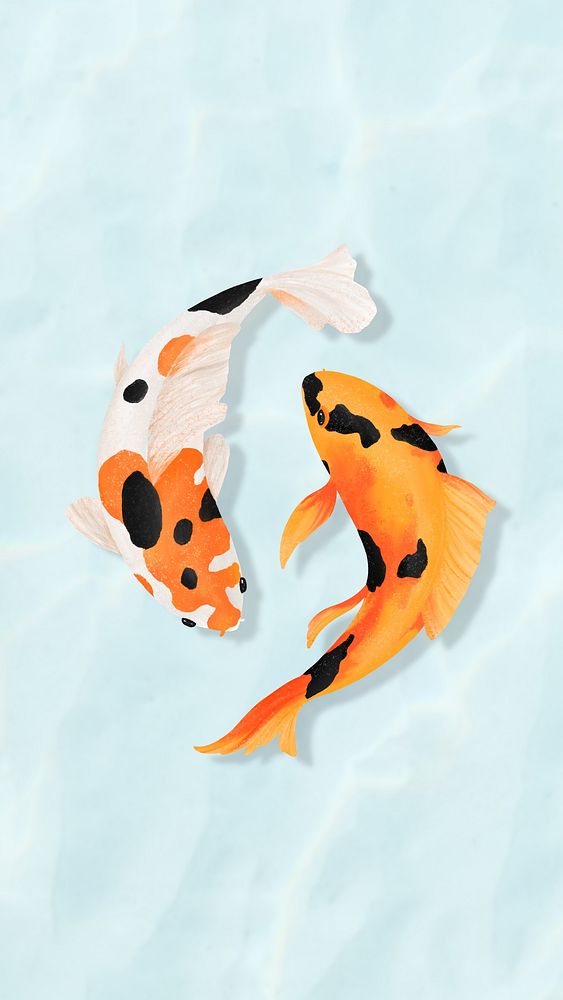 Koi fish iPhone wallpaper background