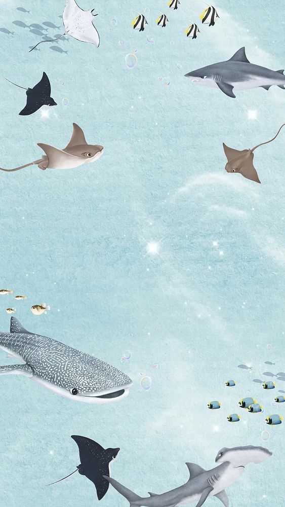 Fish & sea life iPhone wallpaper background