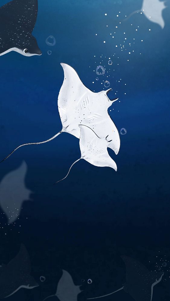 Stingray underwater world iPhone wallpaper background