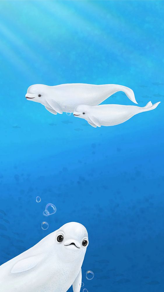 Cute beluga whale, blue iPhone wallpaper background