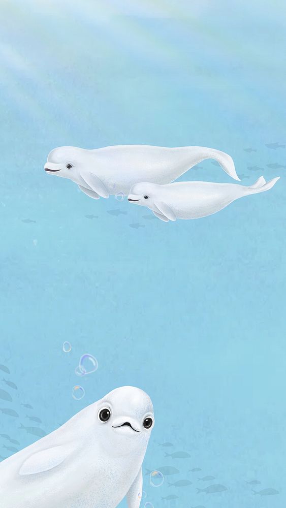 Cute beluga whale, blue iPhone wallpaper background
