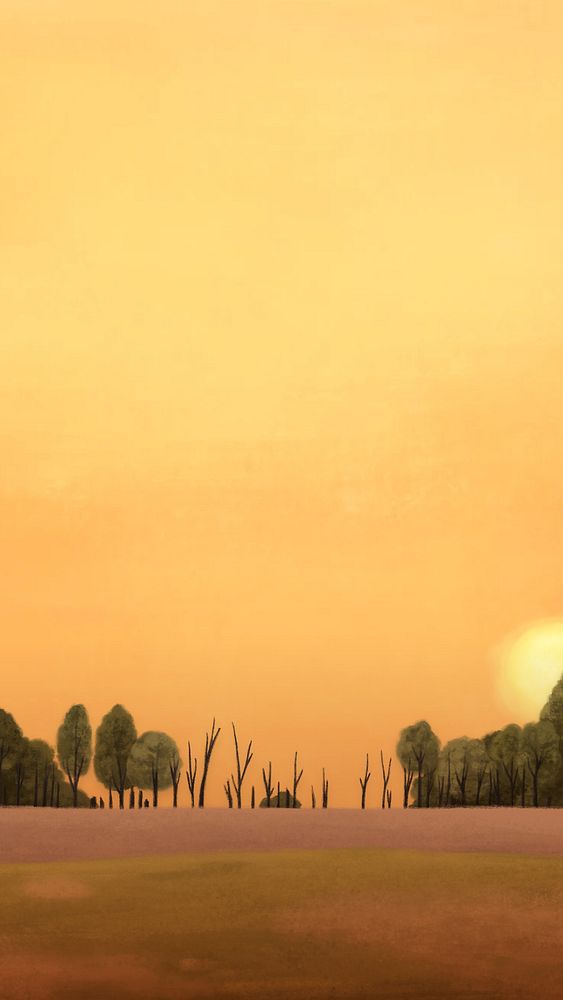 Sunset field scene iPhone wallpaper background