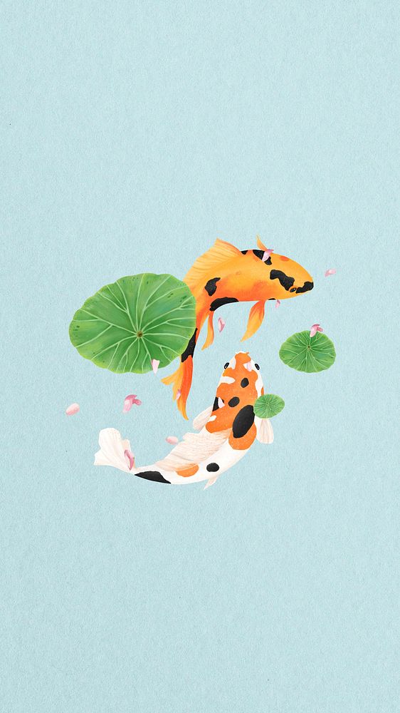 Koi fish iPhone wallpaper background