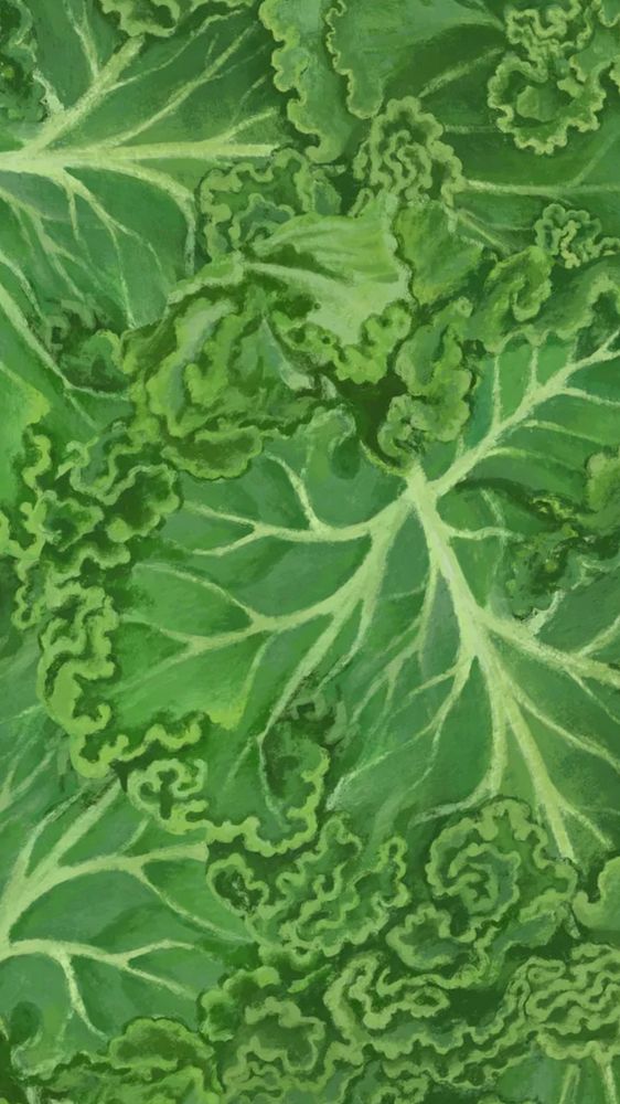 Kale vegetable phone wallpaper, green background