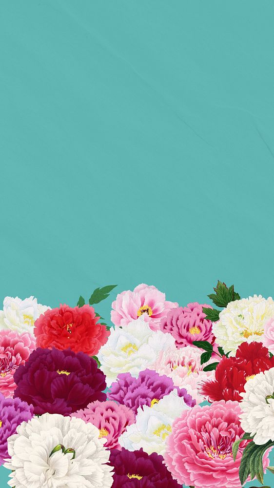 Spring carnation flowers mobile wallpaper, botanical aesthetic border background